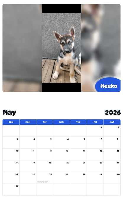 2026 - 2027 Meeko - Pawidols Pet Calendar