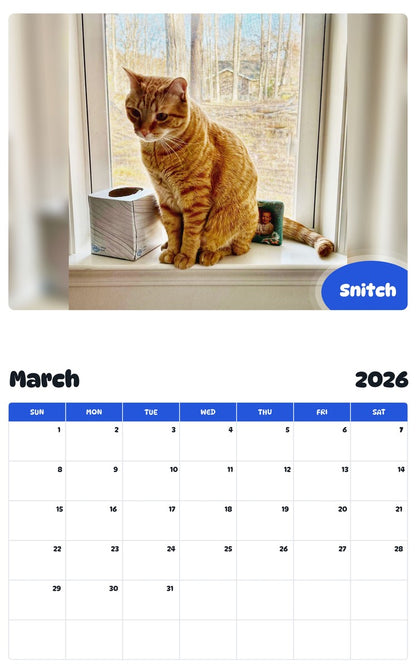 November 2025 - October 2026 Snitch - Pawidols Pet Calendar