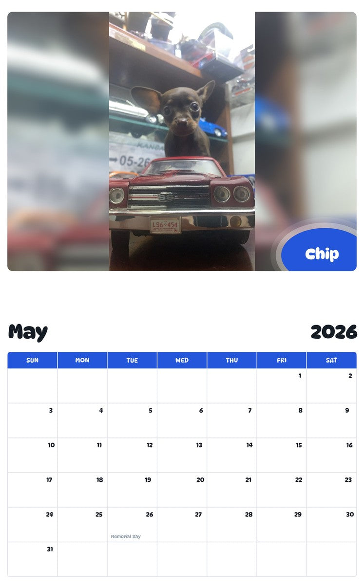 2026 - 2027 Chip - Pawidols Pet Calendar