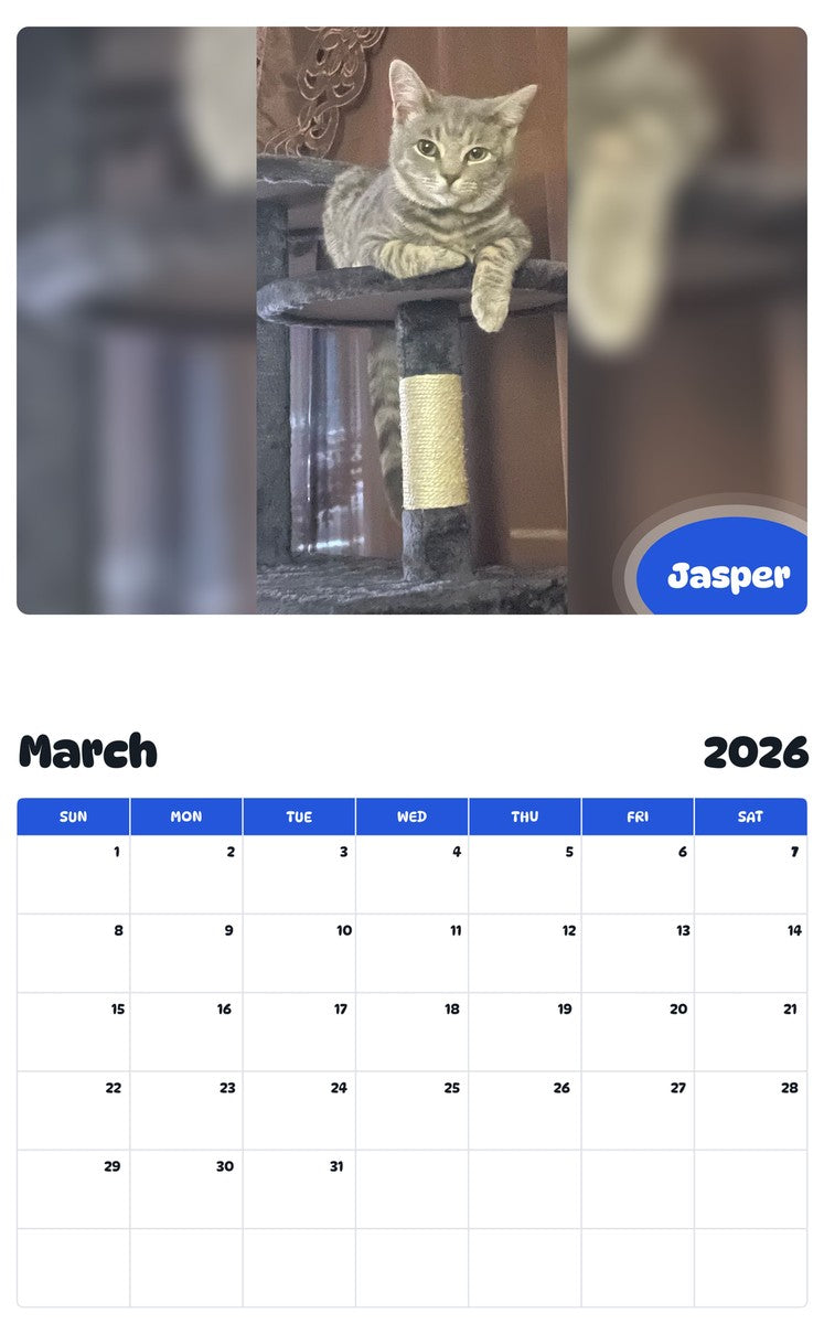 November 2025 - October 2026 Jasper - Pawidols Pet Calendar