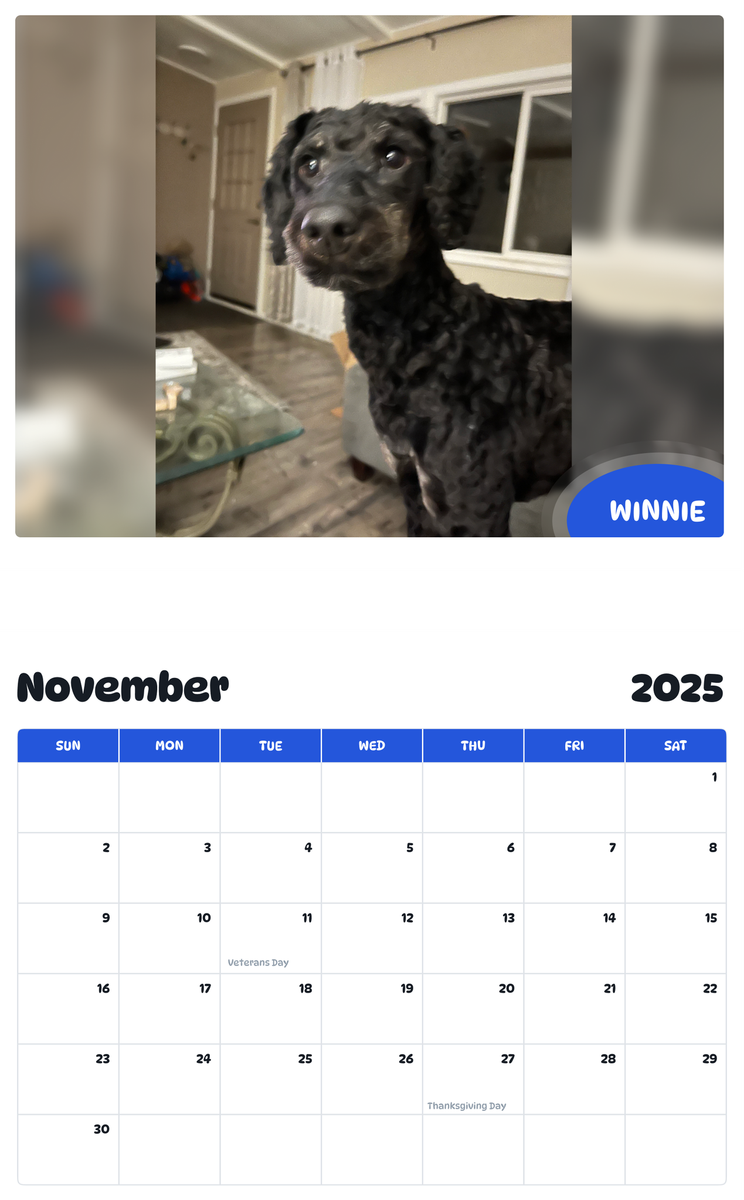 July 2025 - June 2026 Winnie - Pawidols Pet Calendar