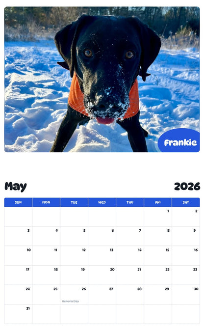 2026 - 2027 Frankie - Pawidols Pet Calendar