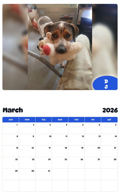 November 2025 - October 2026 D J - Pawidols Pet Calendar