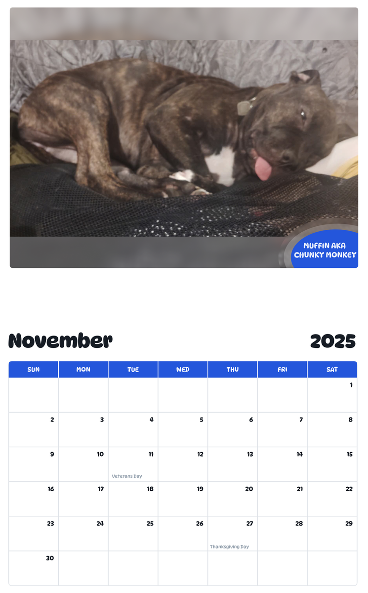 July 2025 - June 2026 Muffin aka Chunky Monkey - Pawidols Pet Calendar