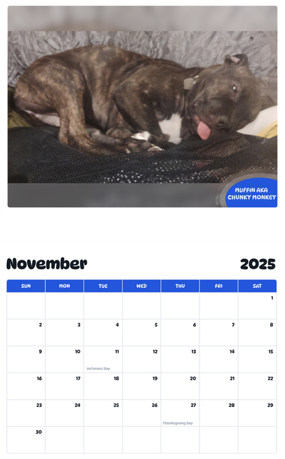 July 2025 - June 2026 Muffin aka Chunky Monkey - Pawidols Pet Calendar