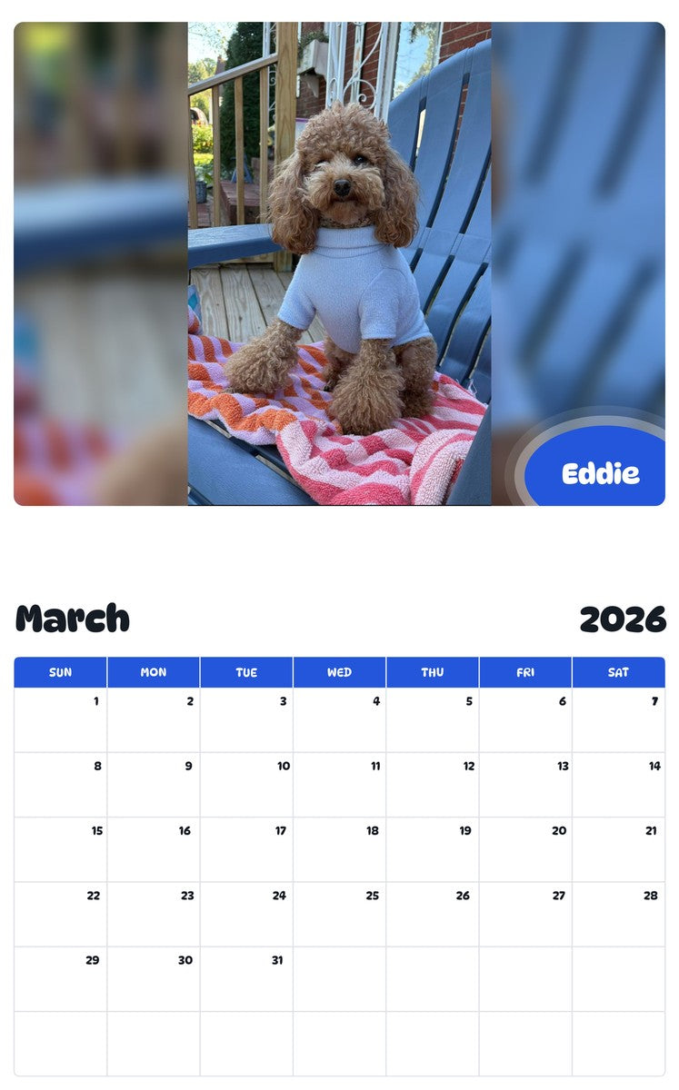 November 2025 - October 2026 Eddie - Pawidols Pet Calendar