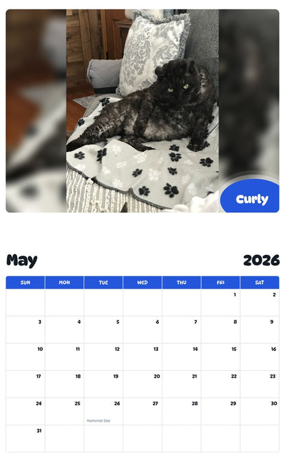 2026 - 2027 Curly - Pawidols Pet Calendar