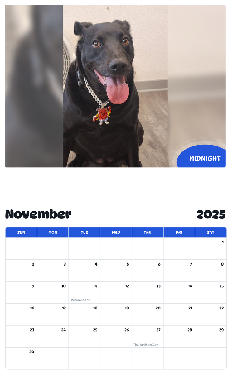 July 2025 - June 2026 Midnight - Pawidols Pet Calendar