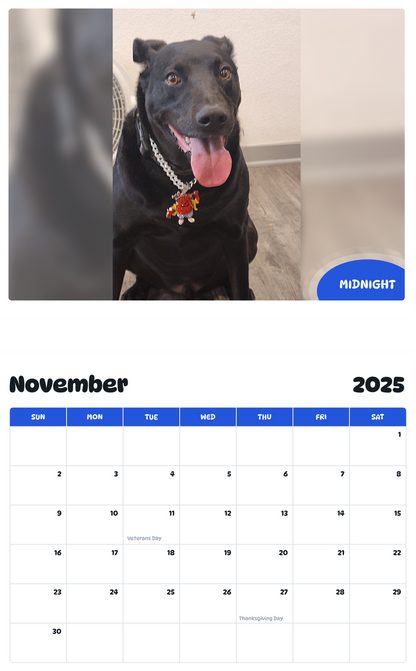 July 2025 - June 2026 Midnight - Pawidols Pet Calendar
