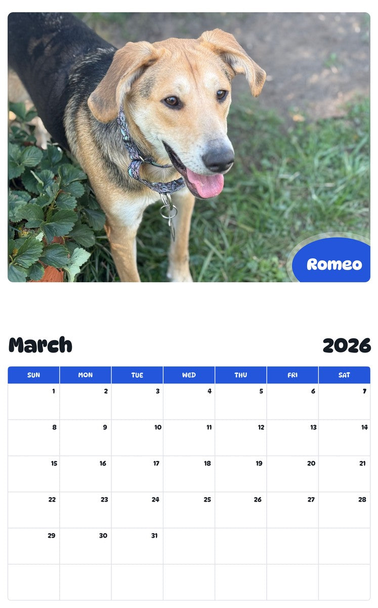 November 2025 - October 2026 Romeo - Pawidols Pet Calendar