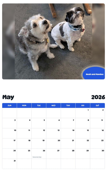 2026 - 2027 Noah and Mandee - Pawidols Pet Calendar