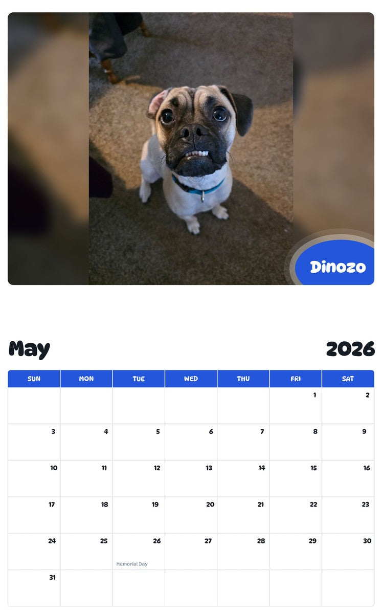 2026 - 2027 Dinozo - Pawidols Pet Calendar