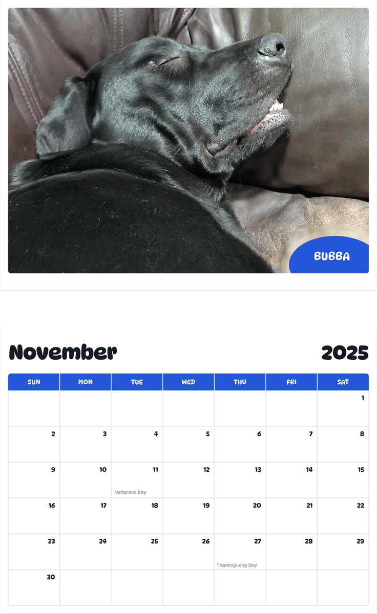 July 2025 - June 2026 Bubba - Pawidols Pet Calendar