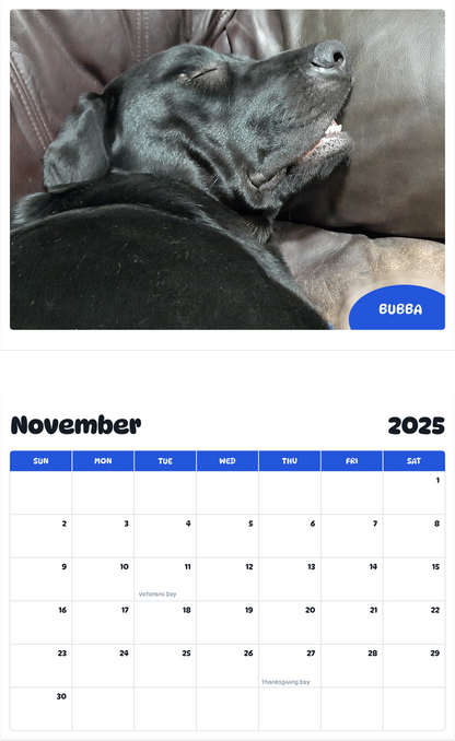 July 2025 - June 2026 Bubba - Pawidols Pet Calendar