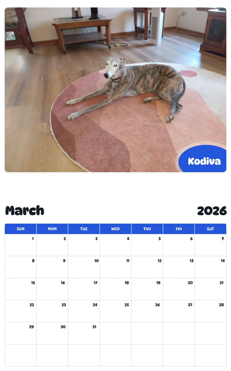 November 2025 - October 2026 Kodiva - Pawidols Pet Calendar