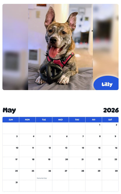 2026 - 2027 Lilly - Pawidols Pet Calendar