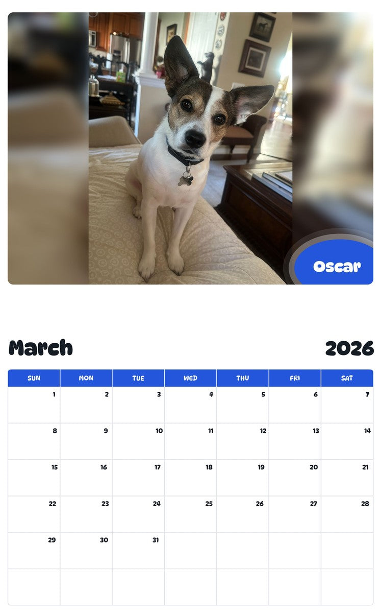 November 2025 - October 2026 Oscar - Pawidols Pet Calendar