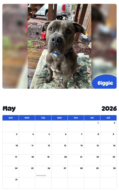 2026 - 2027 Biggie - Pawidols Pet Calendar