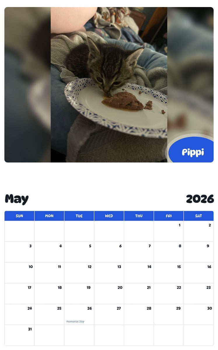 2026 - 2027 Pippi - Pawidols Pet Calendar
