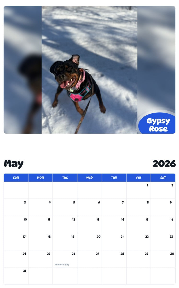 2026 - 2027 Gypsy Rose - Pawidols Pet Calendar