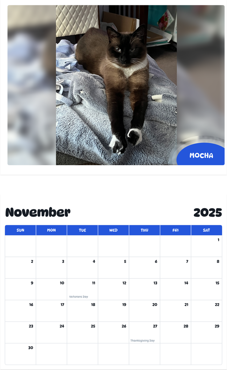 July 2025 - June 2026 Mocha - Pawidols Pet Calendar