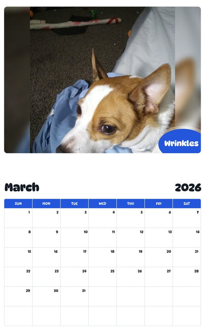 November 2025 - October 2026 Wrinkles - Pawidols Pet Calendar