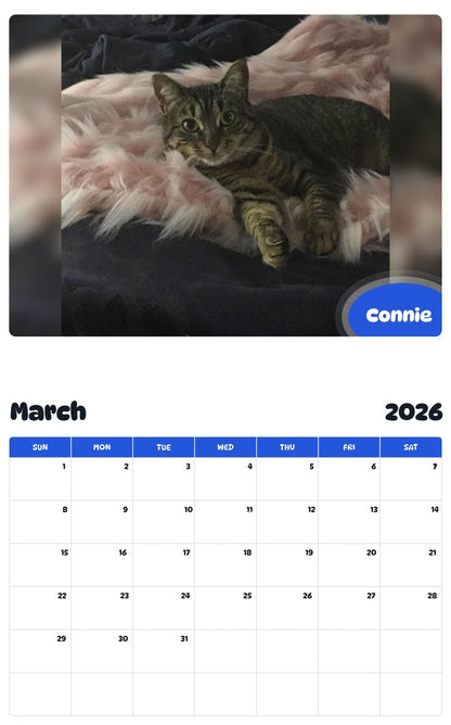 November 2025 - October 2026 Connie - Pawidols Pet Calendar