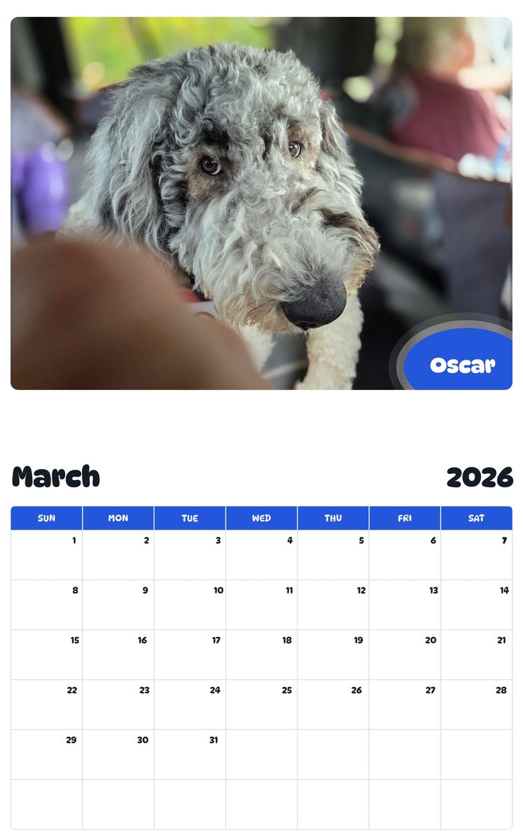 November 2025 - October 2026 Oscar - Pawidols Pet Calendar