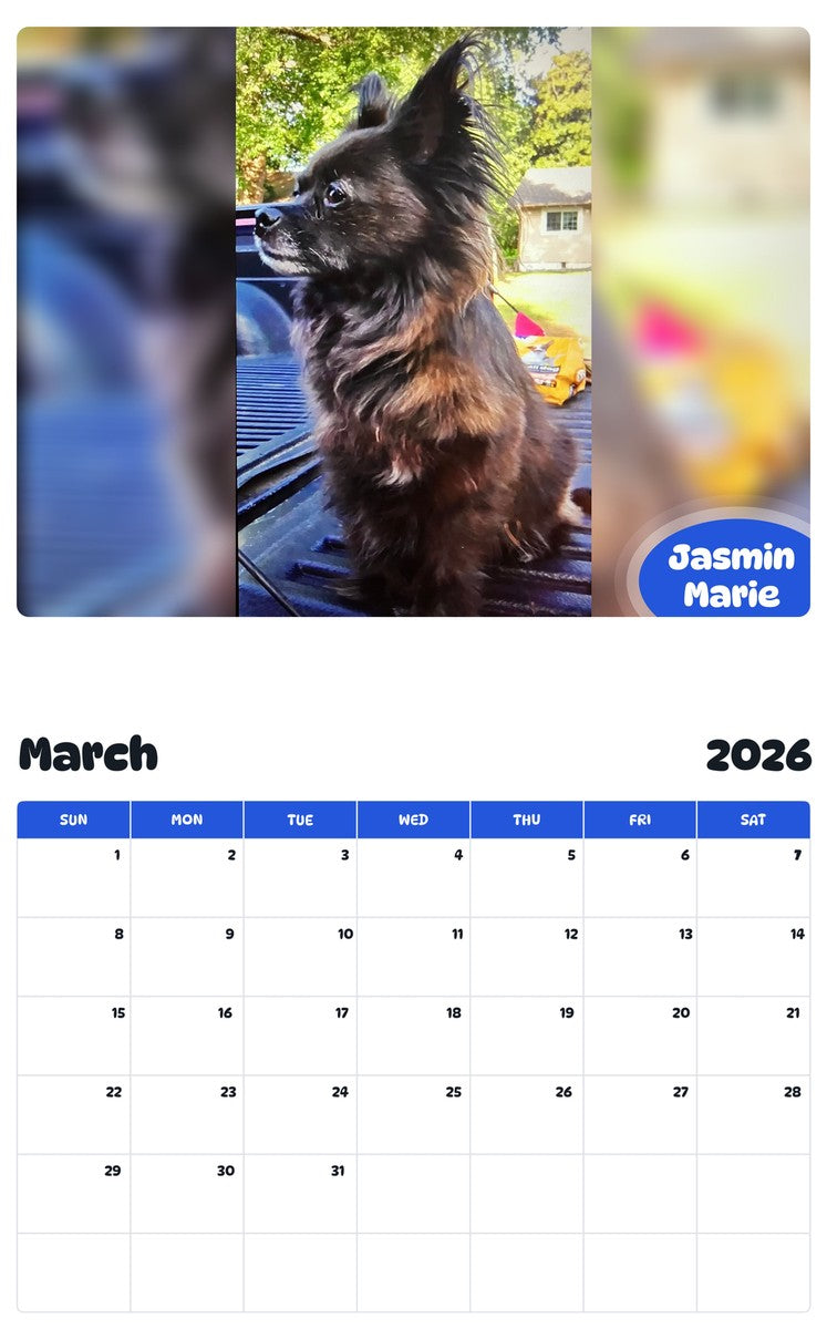 November 2025 - October 2026 Jasmin Marie - Pawidols Pet Calendar