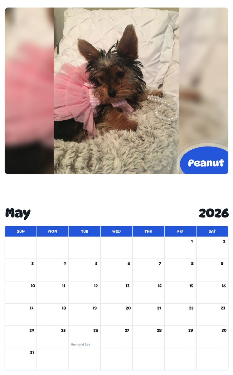 2026 - 2027 Peanut - Pawidols Pet Calendar