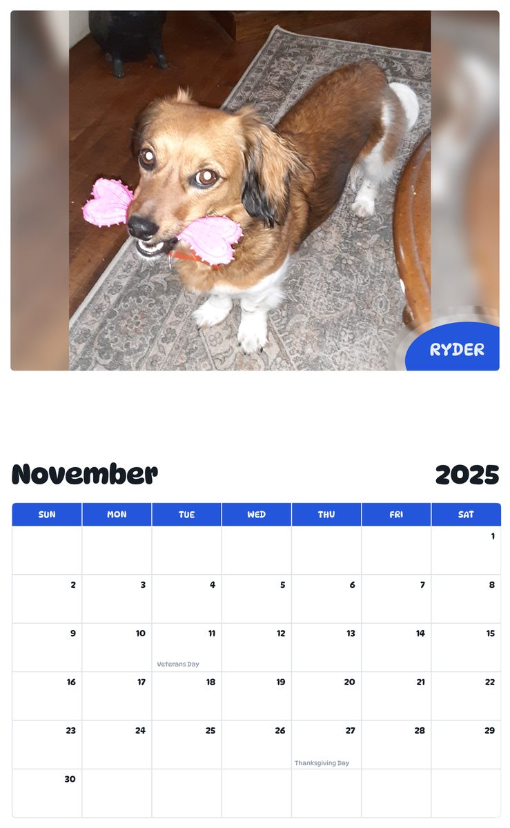 July 2025 - June 2026 Ryder - Pawidols Pet Calendar
