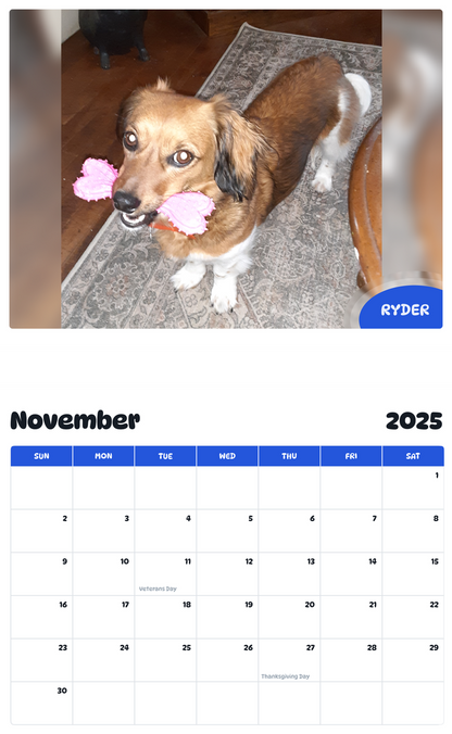 July 2025 - June 2026 Ryder - Pawidols Pet Calendar