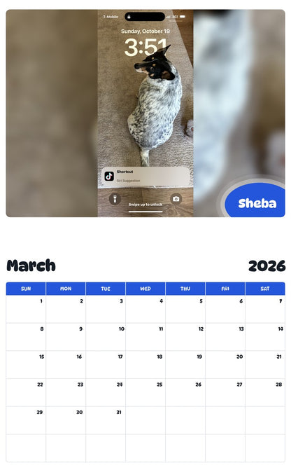 November 2025 - October 2026 Sheba - Pawidols Pet Calendar