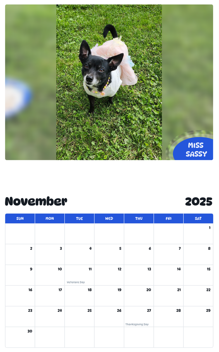 July 2025 - June 2026 Miss Sassy - Pawidols Pet Calendar