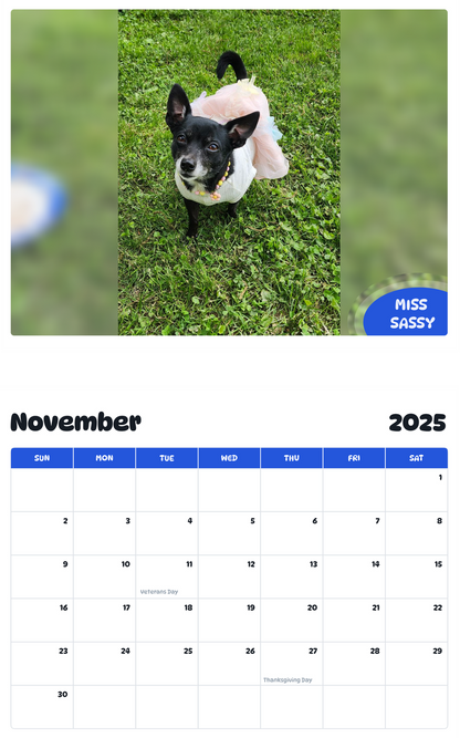 July 2025 - June 2026 Miss Sassy - Pawidols Pet Calendar
