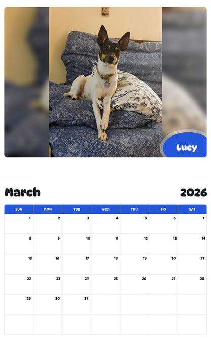 November 2025 - October 2026 Lucy - Pawidols Pet Calendar