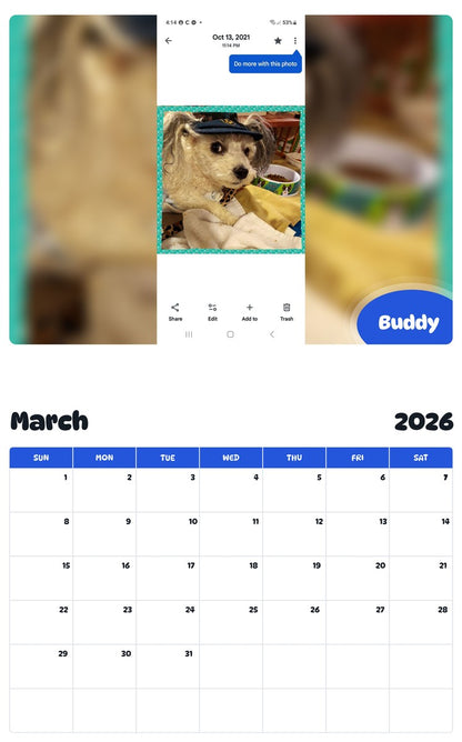 November 2025 - October 2026 Buddy - Pawidols Pet Calendar