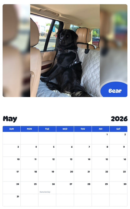 2026 - 2027 Bear - Pawidols Pet Calendar