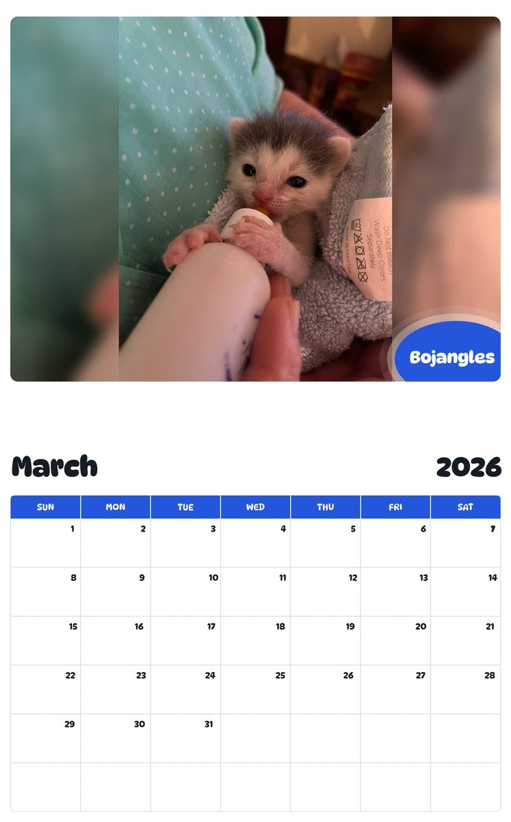 November 2025 - October 2026 Bojangles - Pawidols Pet Calendar