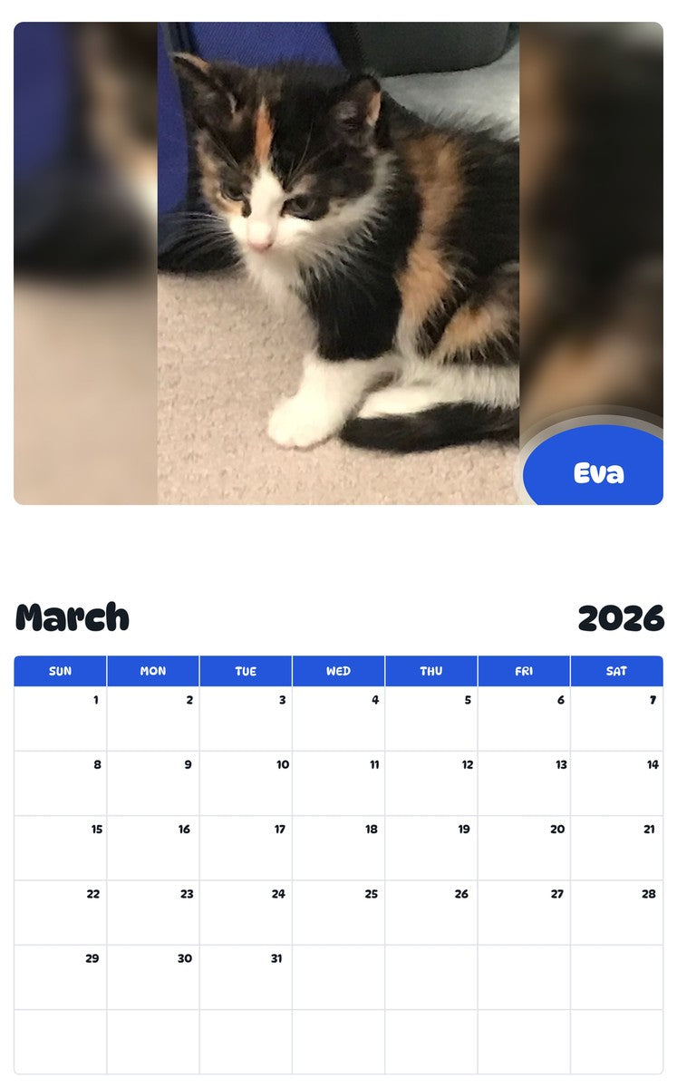 November 2025 - October 2026 Eva - Pawidols Pet Calendar