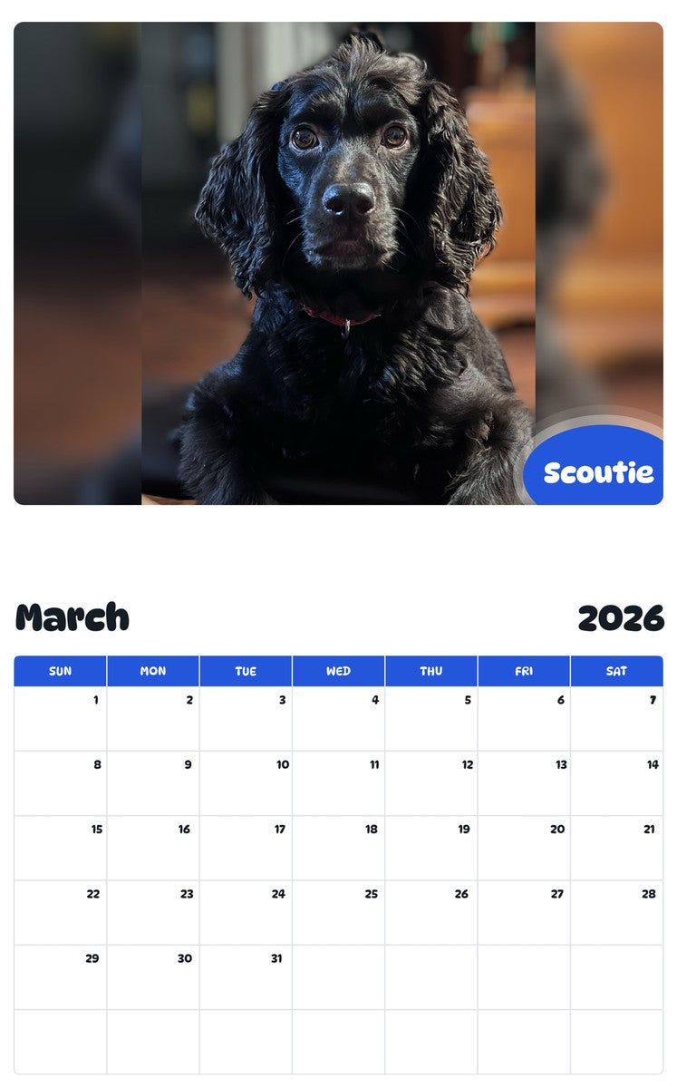 November 2025 - October 2026 Scoutie - Pawidols Pet Calendar