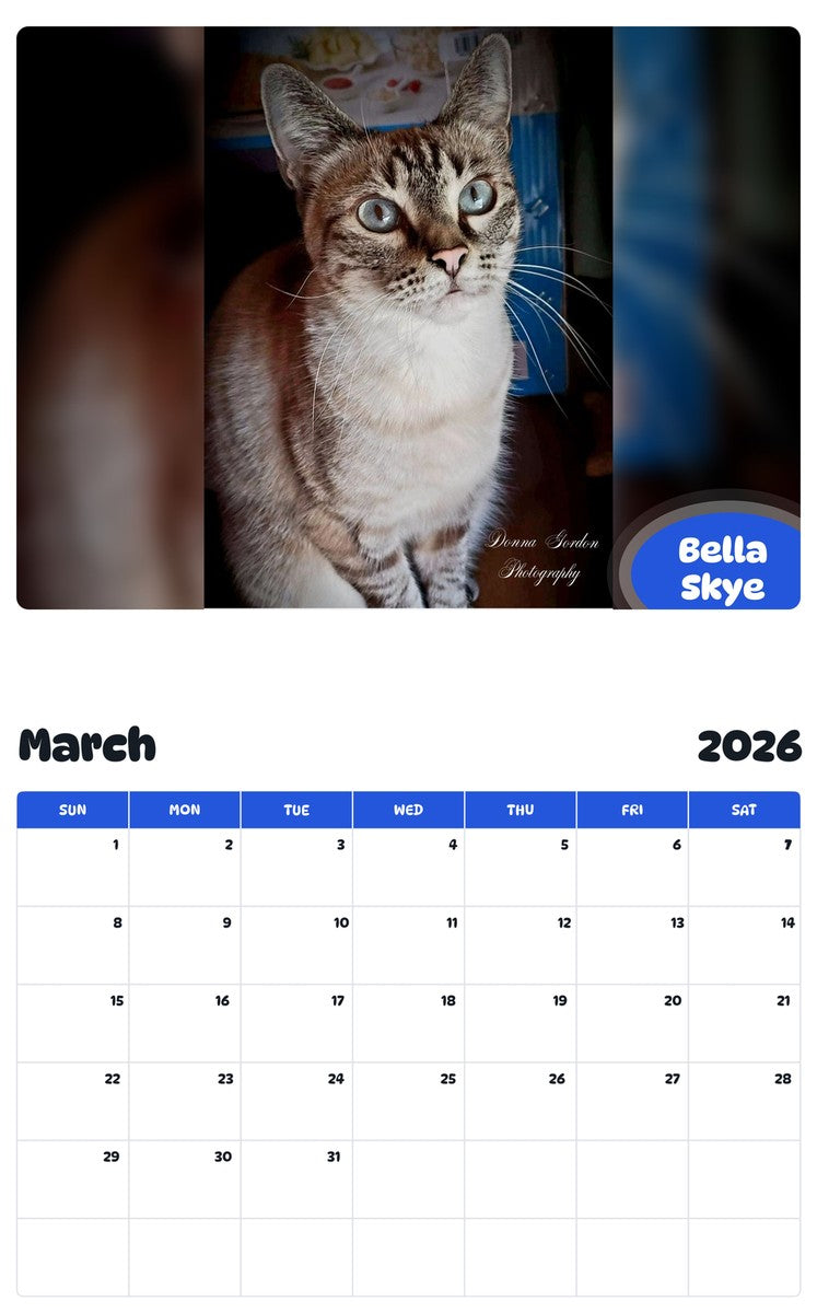 November 2025 - October 2026 Bella Skye - Pawidols Pet Calendar
