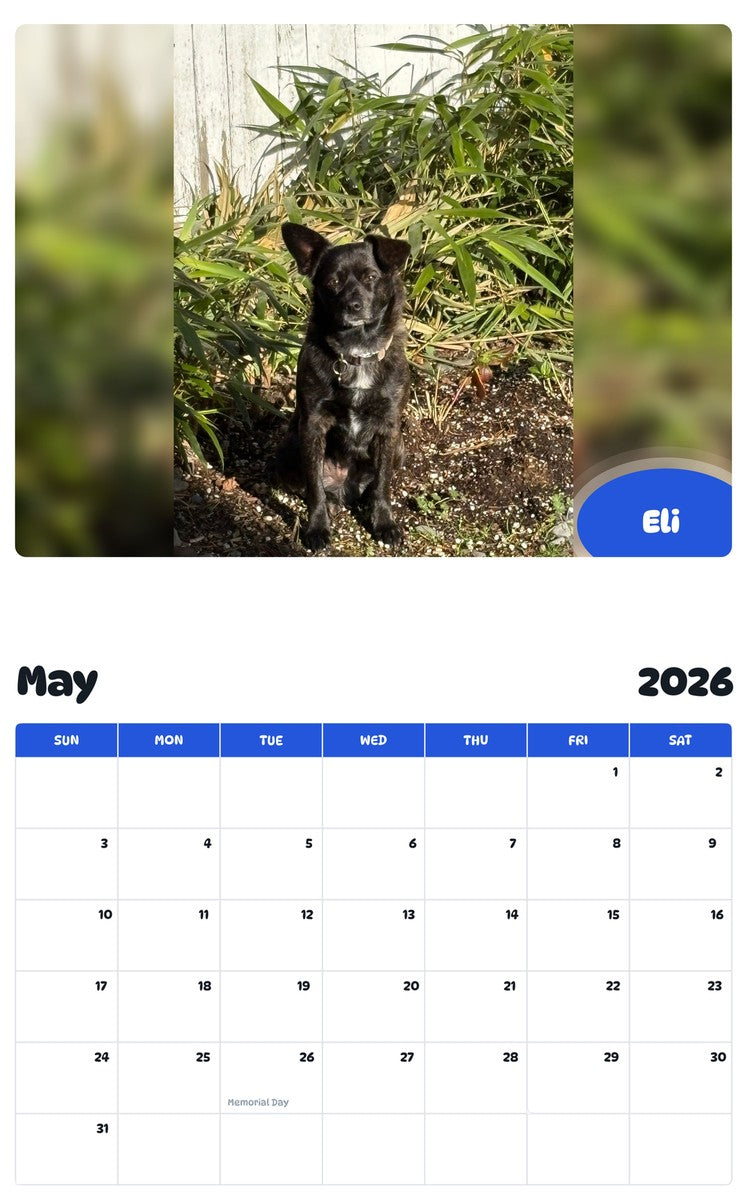 2026 - 2027 Eli - Pawidols Pet Calendar