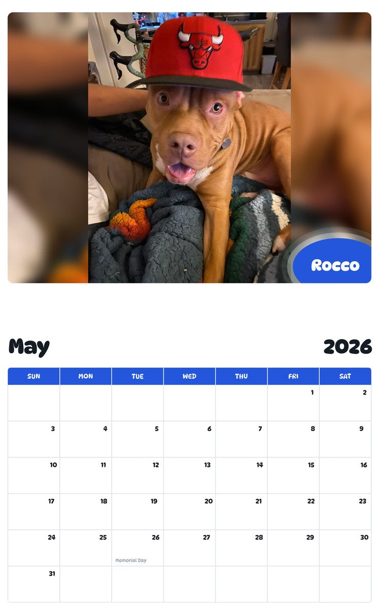 2026 - 2027 Rocco - Pawidols Pet Calendar