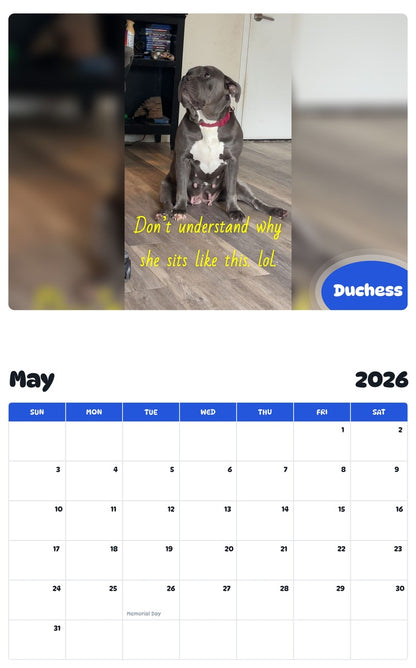 2026 - 2027 Duchess - Pawidols Pet Calendar