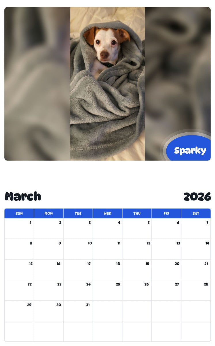 November 2025 - October 2026 Sparky - Pawidols Pet Calendar