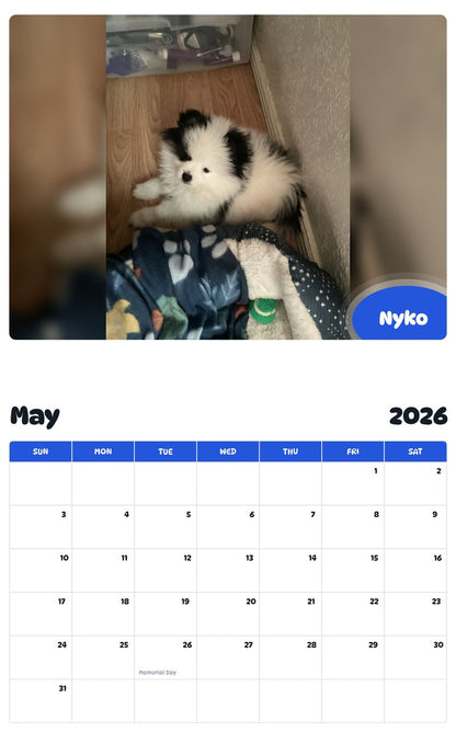 2026 - 2027 Nyko - Pawidols Pet Calendar