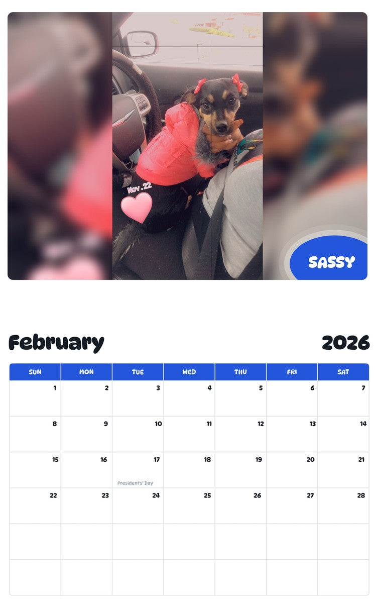 November 2025 - October 2026 SASSY - Pawidols Pet Calendar