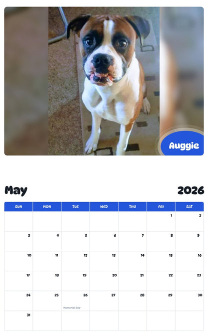 2026 - 2027 Auggie - Pawidols Pet Calendar