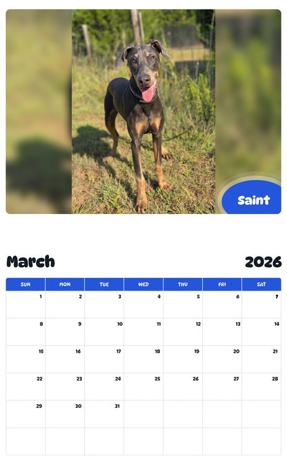 November 2025 - October 2026 Saint - Pawidols Pet Calendar